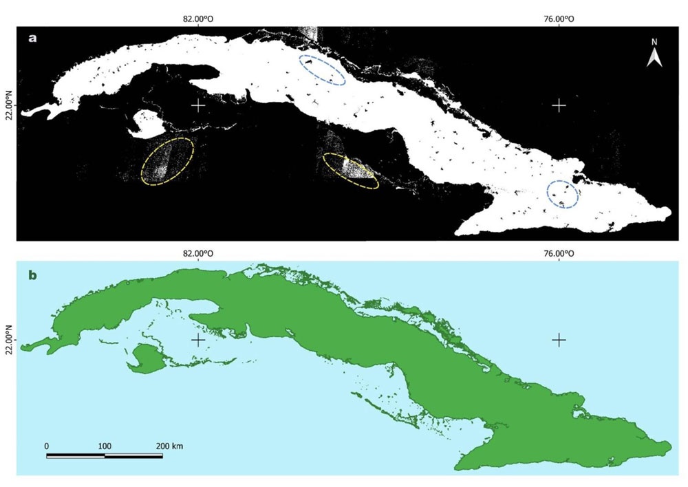 a) Modelo ráster primario como salida del procesamiento en GEE. Pixeles con interferencia por olas, nubes, artefactos (discontinuas amarillas) y cuerpos de aguas interiores detectados (discontinuas azules) requieren tratamiento posterior. b) Modelo vectorial postprocesado, definiendo la superficie emergida del archipiélago.